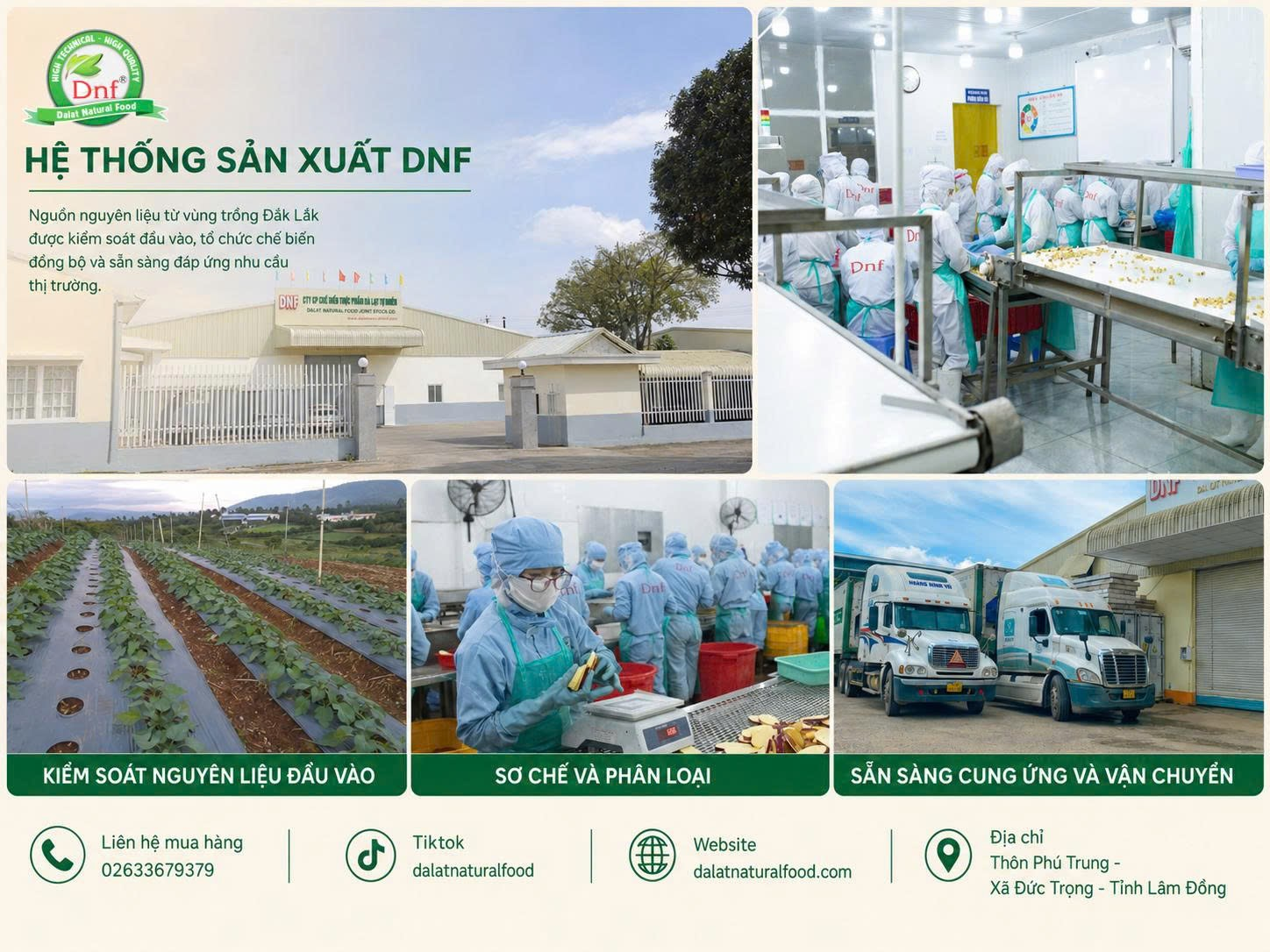Tiêu chuẩn nào để nông sản sấy Việt Nam ra thị trường quốc tế